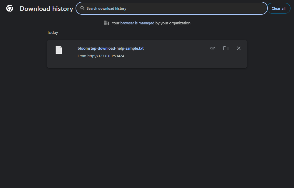 Actual Google Chrome Download history page from a clean test profile, with only the harmless bloomstep-download-help-sample.txt download.
